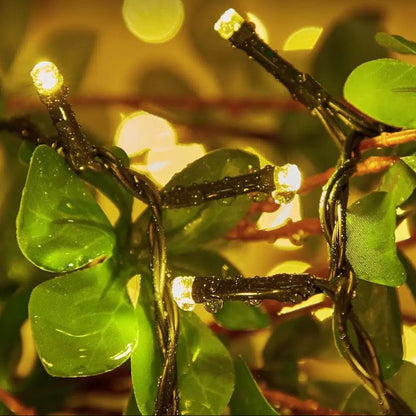 SolarLight® – Luces Solares Navideñas 170 LED · Calidad Premium