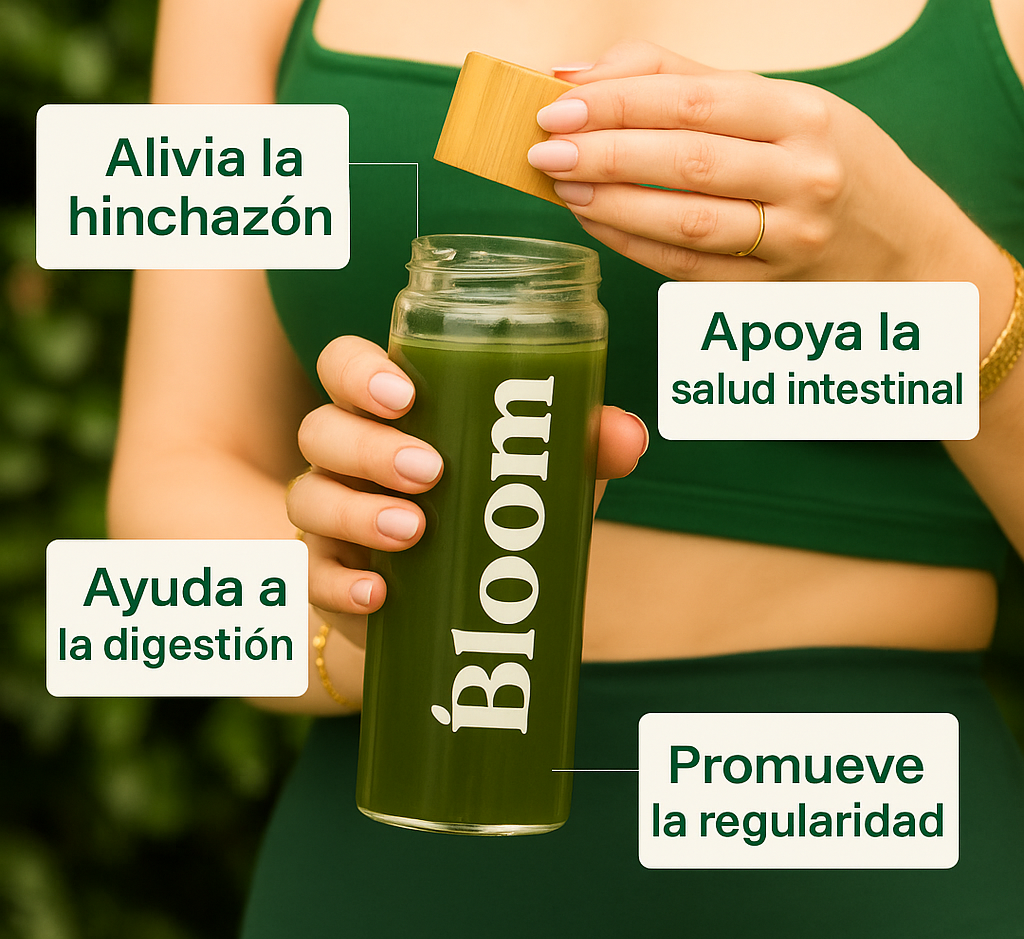 Cómo funciona BLOOM